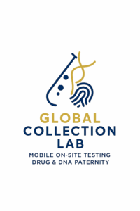 Office photo — Global Collection Lab