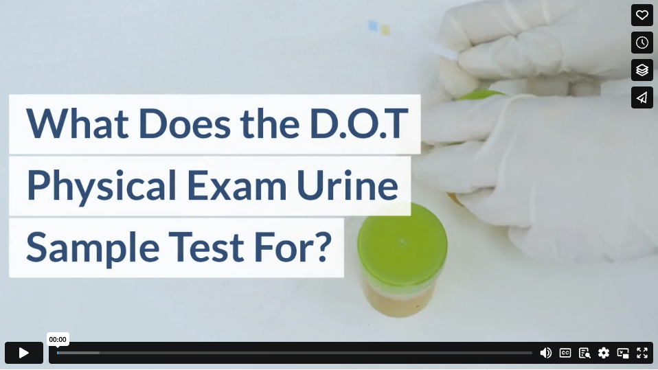 What Does the DOT Physical Exam Urine Sample Test For?